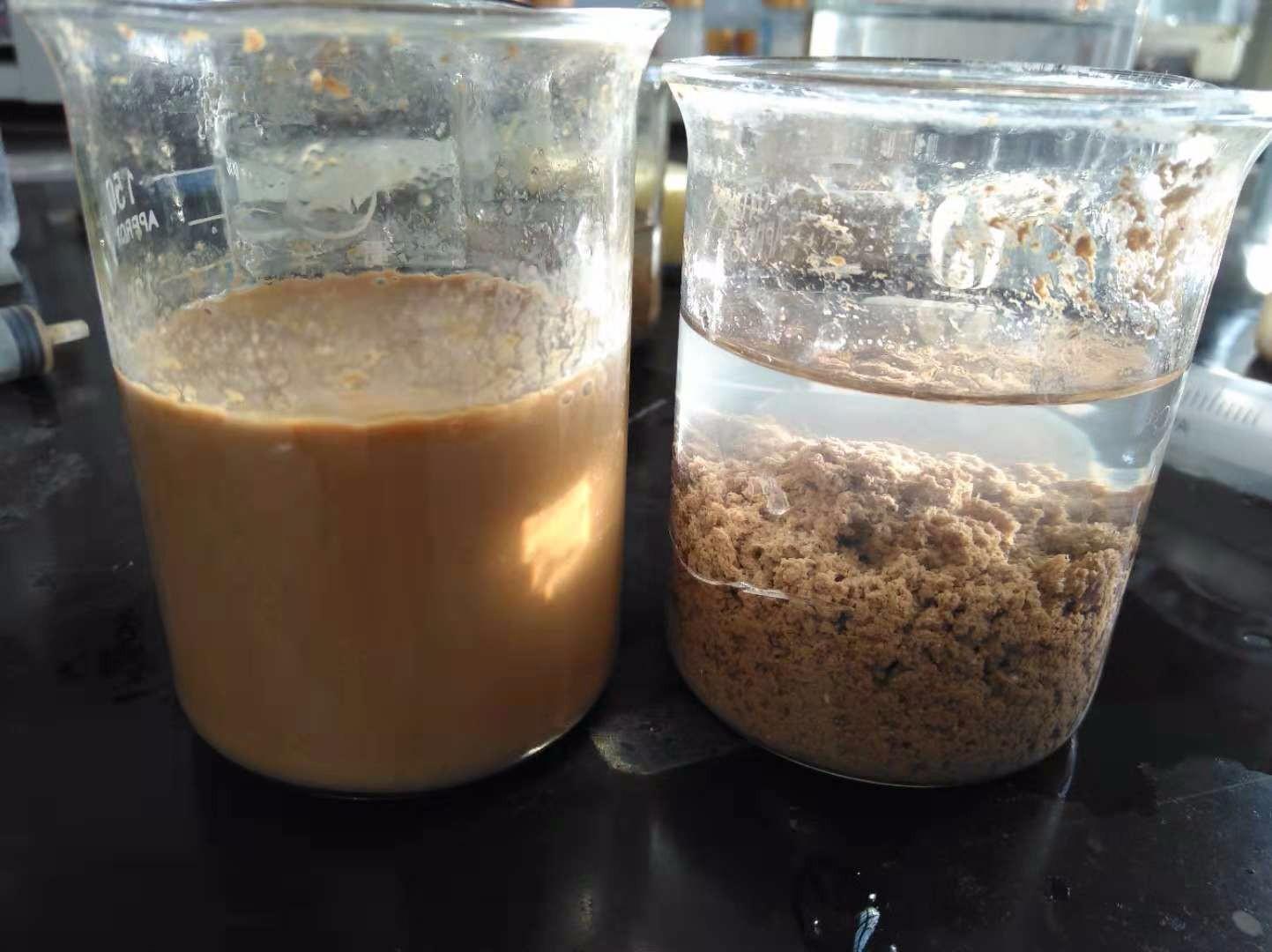 <a href='http://www.1818xinwen.com/jsyj/992.html' target='_blank'><u>非離子聚丙烯酰胺生產(chǎn)廠家</u></a>